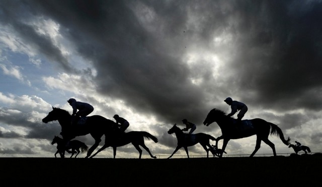 دیدنی های امروز