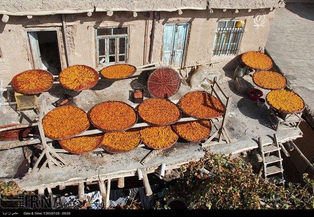 پایتخت آلوی ایران (عکس)