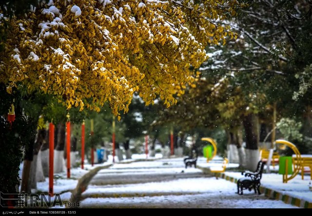 بارش اولین برف پاییزی در اردبیل (عکس)