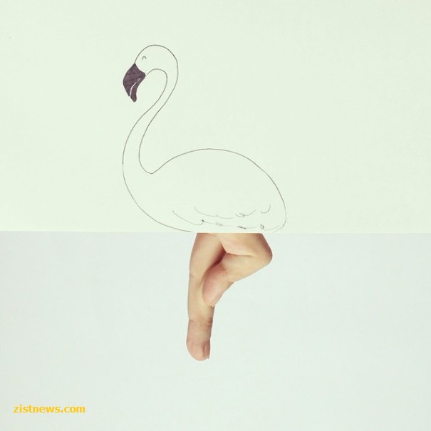 حیوانات انگشتی!(عکس)