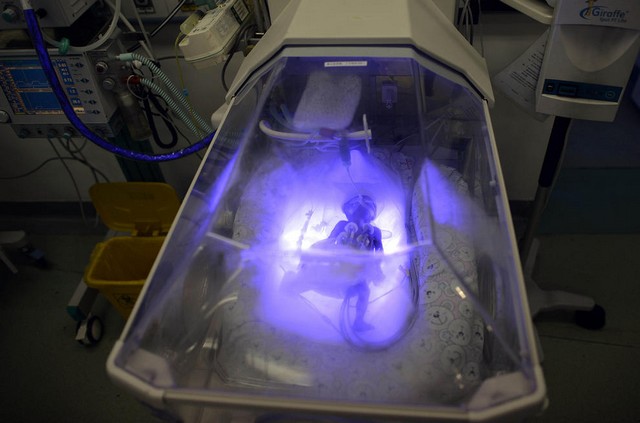 دیدنی های امروز