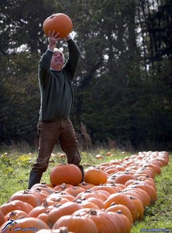 باز هم «هالوین» آمد (+عکس)