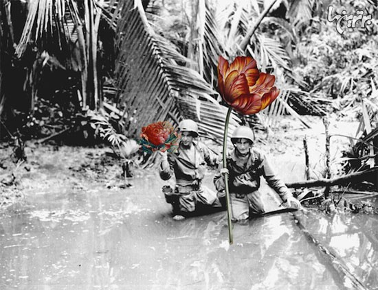 گل‌ هایی که جنگ را تعطیل کردند (+عکس)