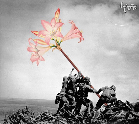 گل‌ هایی که جنگ را تعطیل کردند (+عکس)