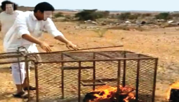 زندان و شلاق برای زنده سوزاندن یک روباه (+عکس)