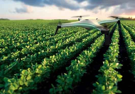 هواپیمای همه کاره+تصاویر