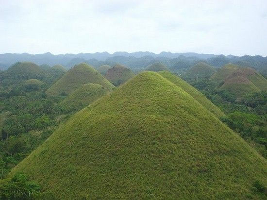 تپه های شکلاتی در فیلیپین (+عکس)