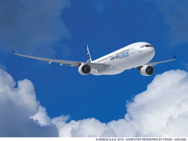 الگوبرداری از سوسک برای جلوگیری از یخ زدگی هواپیماها