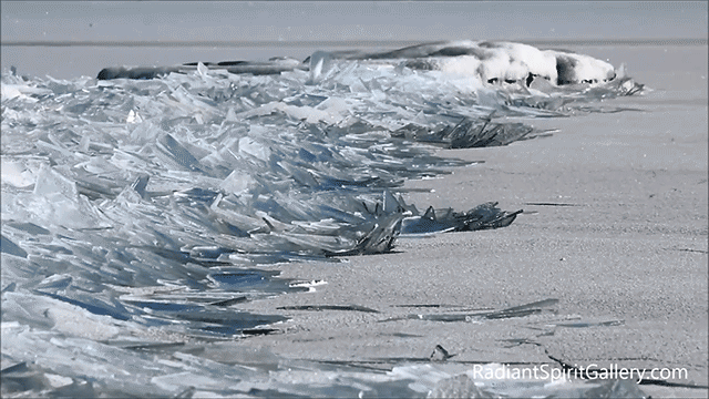 امواج یخ زده در سواحل آمریکا (عکس متحرک)