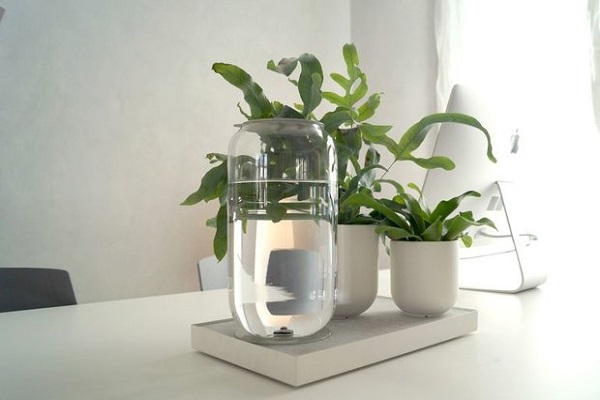 پرورش گیاهان با طراوت با گلدان هوشمند