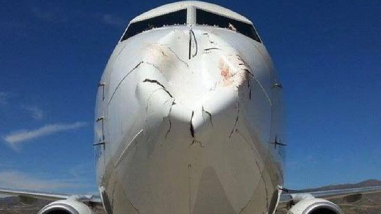 شاخ به شاخ شدن هواپیما و پرنده (عکس)