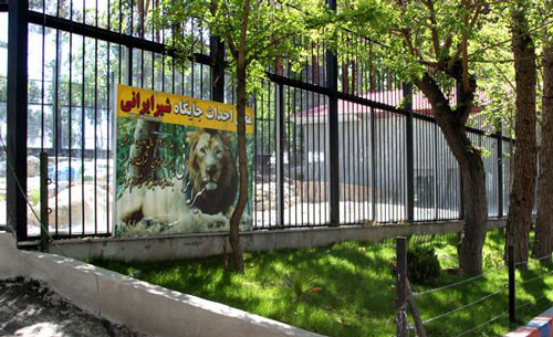 «پرسیکا» به ایران می آید (+عکس)