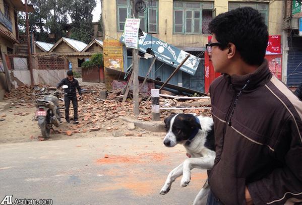 تلفات گسترده زلزله مهیب 7.9 ریشتری در پایتخت نپال(+عکس)