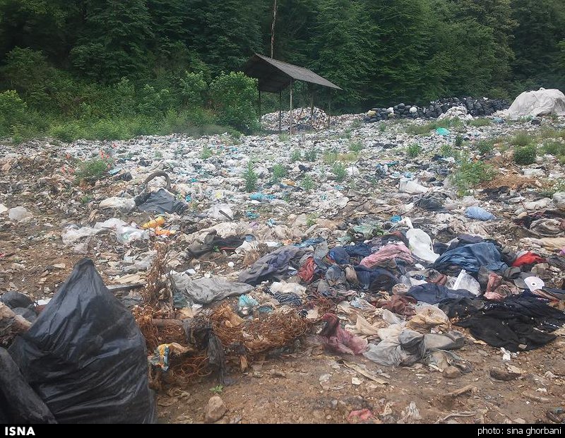 ایست قلبی جنگل‌های مازندران!