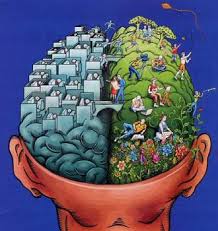 شناخت مغز انسان: گام نخست موفقیت فردی ، ارتباطات اجتماعی و کسب و کار