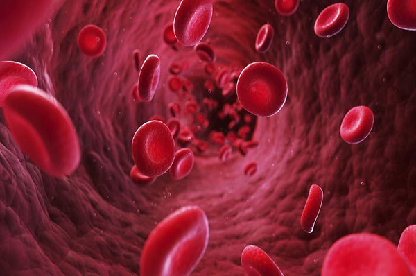 کشف سلول‌های احیاکننده کبد بدون ایجاد سرطان