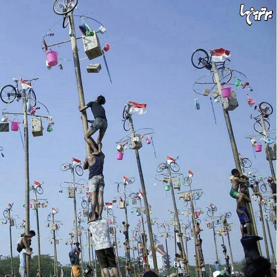 رقابت بالا رفتن از نخل‌ چرب‌ شده (+عکس)