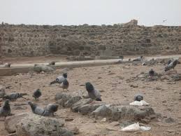 بقیع، قطعه ای از بهشت