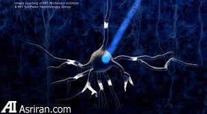 جدیدترین نوآوریها در زمینه بهداشت و درمان جدیدترین نوآوریها در زمینه بهداشت و درمان