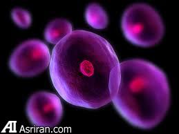 جدیدترین نوآوریها در زمینه بهداشت و درمان جدیدترین نوآوریها در زمینه بهداشت و درمان