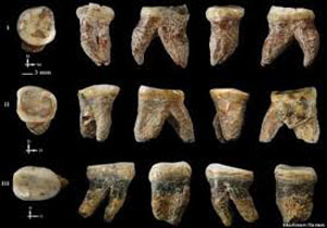کشف 47 دندان‌ 80 هزار ساله در چین (+عکس)