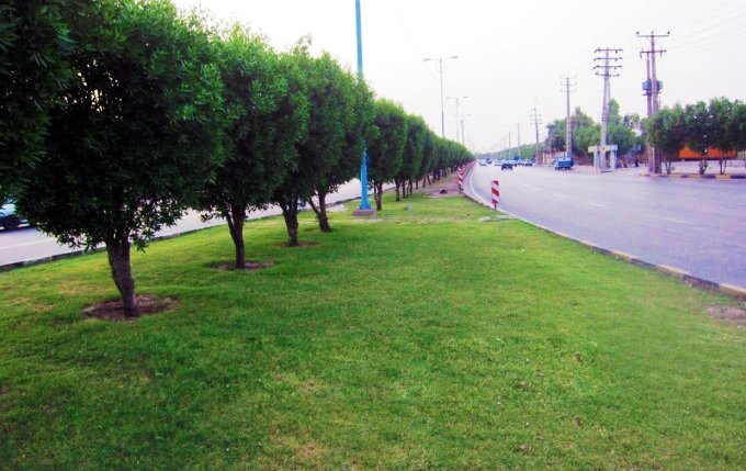 چرا بعد از هر باران در خوزستان مردم باید به بیمارستان بروند؟