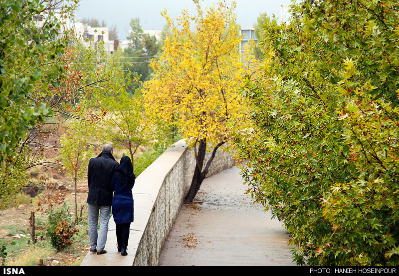 عکس بارون پاییزی شیراز