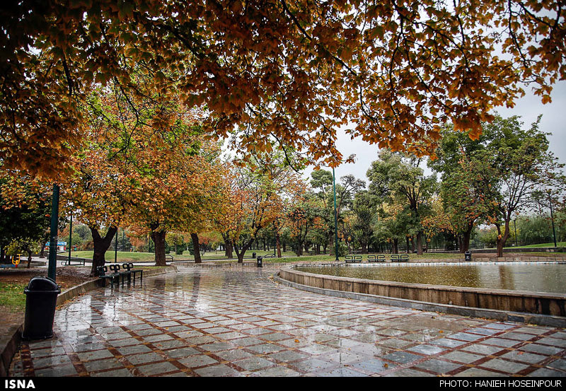 عکس پاییز بارانی شیراز