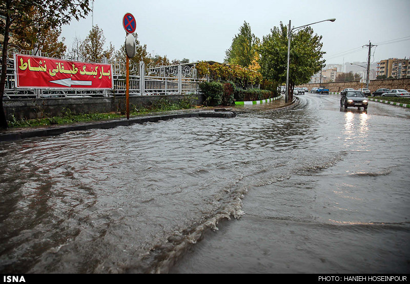 عکسهای بارانی شیراز