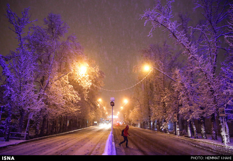 تصاویر بارش برف در تهران