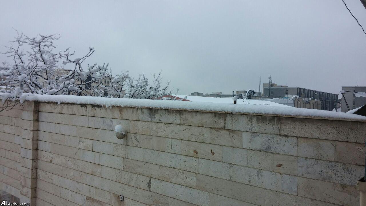 برف در جردن تهران (عکس)