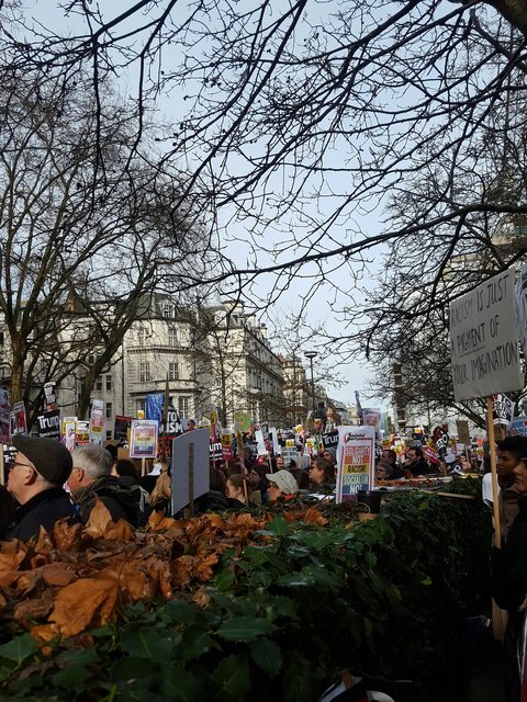 تظاهرات در لندن علیه فرمان مهاجرتی ترامپ (عکس)