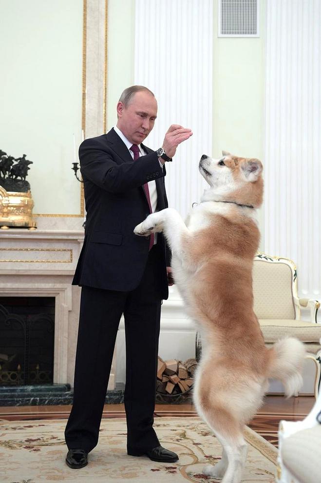 پوتین و سگ نژاد ژاپنی اش (+عکس)