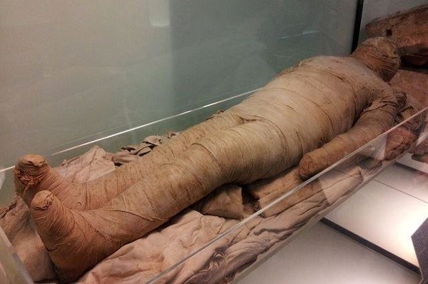 کشف جسد مومیایی شده در سن پترزبورگ (عکس)