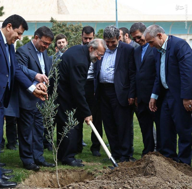 لاریجانی یک نهال زیتون در فضای مجلس کاشت (عکس)