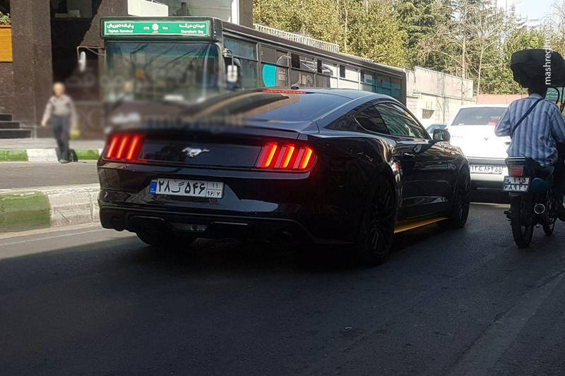 اسب چالاک آمریکایی در خیابان‌های تهران (عکس)