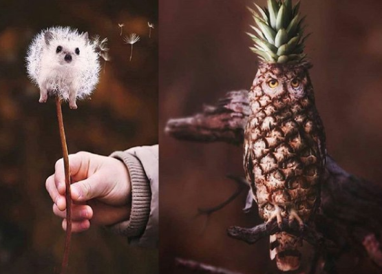 خلاقیت جالب یک عکاس در طراحی عکس حیوانات