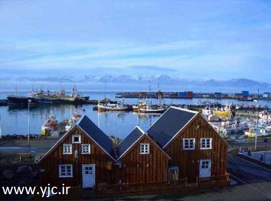 مزایده های باورنکردنی در اینترنت (+عکس)