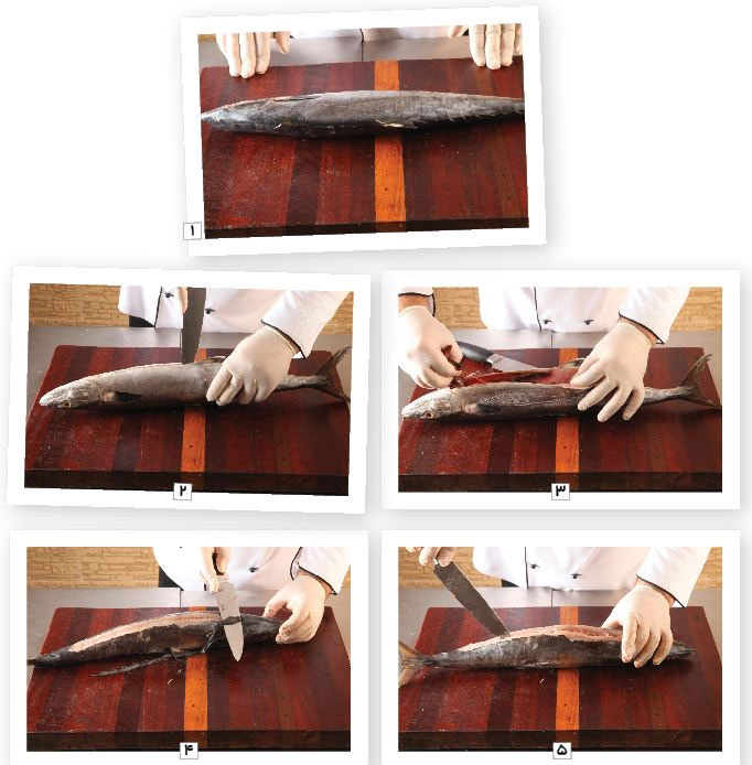 آموزش تخصصی فیله کردن ماهی شیر