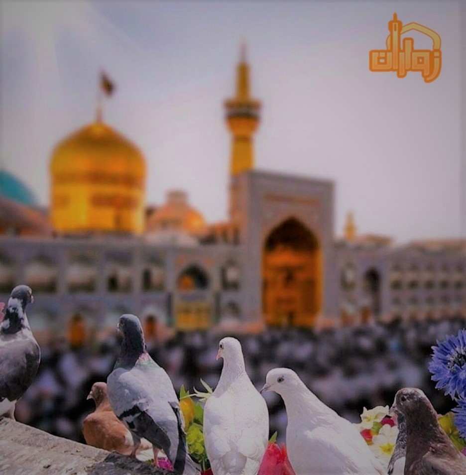 سفر مشهد ممنوع بدون زواران