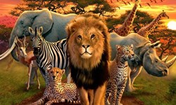 حقایقی درباره حیوانات