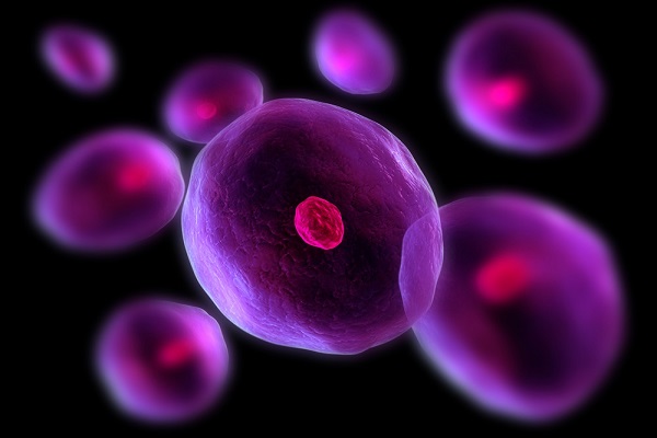 چه تعداد سلول در بدن انسان وجود دارد؟