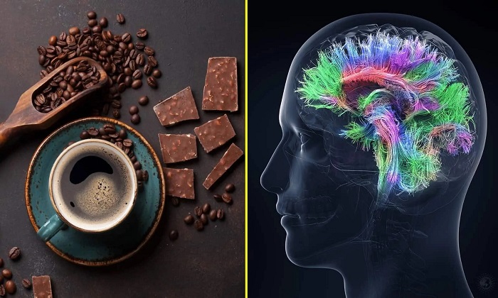 درباره ارتباط قهوه و شکلات با هوش انسان