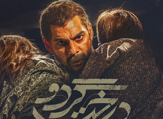 معادی