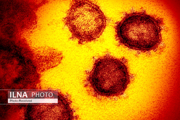 نخستین مورد ابتلا به &laquo;کرونا&raquo; در اوکراین