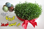 کرونا در کمین نوروز؛ این پیام را همین حالا به دوستانتان بفرستید (فیلم)
