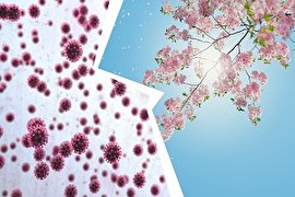 کووید-19 در برابر آلرژی؛ تفاوت علائم در چیست؟