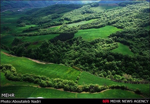 فعالیت ۲۳۷ جنگلبان و محیط &zwnj;بان در مراتع و جنگل های گیلان