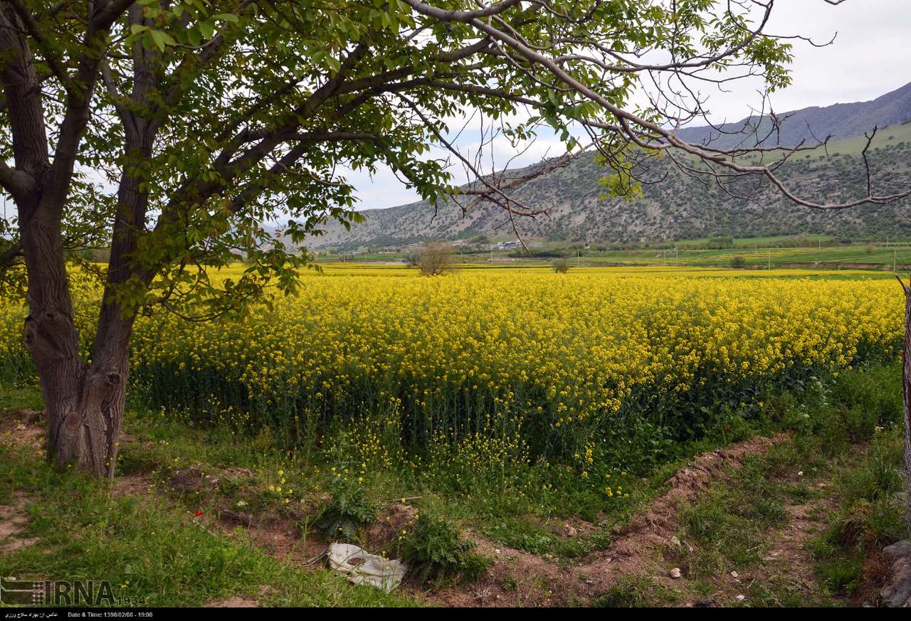 تصاویر طبیعت بهاری ایران