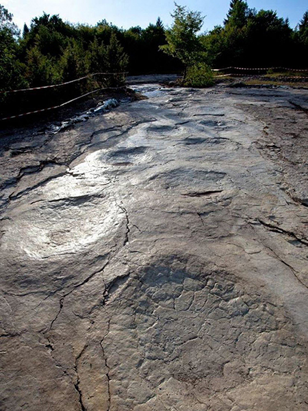 بزرگترین ردپای به جا مانده از دایناسورها در جهان (+عکس)
